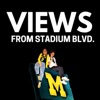 Views From Stadium Blvd artwork
