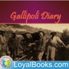 Gallipoli Diary by John Graham Gillam artwork