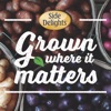 Grown Where It Matters - Potato Farmers' Stories artwork
