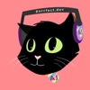 CodingCat.dev Podcast artwork