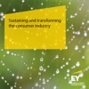 Sustaining and transforming the consumer industry artwork