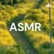 ASMR 中国民间传说-定伯卖鬼 耳语温柔读故事催眠安眠