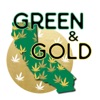 Green & Gold artwork