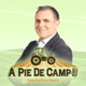 A Pie de Campo (18/05/2024)