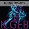 Bioinformatics artwork