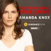The Truth About True Crime with Amanda Knox artwork