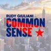 Rudy Giuliani's Common Sense artwork