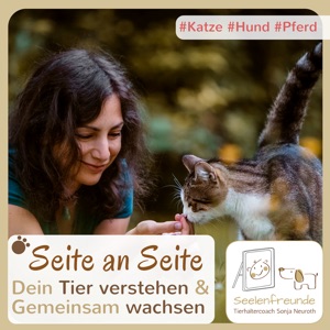 Was ist die passende Bewegung für dein Pferd? Michelle Rasel