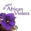 All About African Violets artwork