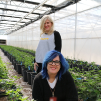 CBD Q&A podcast
