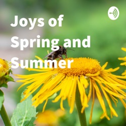 Joys of Spring and Summer - The Bees with prof. David Kleijn