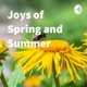 Joys of Spring and Summer