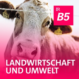 Aus für Danone in Rosenheim
