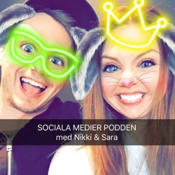 5. Grejen med Musical.ly