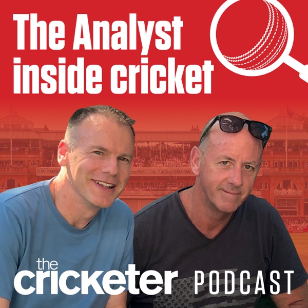 The Analyst Inside Cricket Artwork