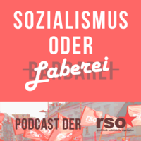 Social Reproduction Theory : Ein Ansatz zur Verbindung von Marxismus und Feminismus - Folge 8