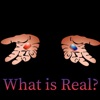 What is Real? artwork