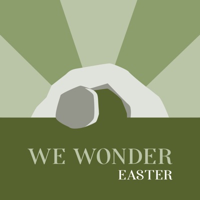 We Wonder We Wonder