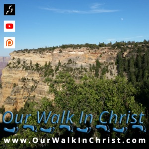 Coming To Your Senses – Daily Walk 139