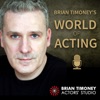 Brian Timoney’s World of Acting artwork