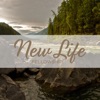 New Life Fellowship artwork
