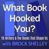 What Book Hooked You? artwork