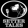 Setter Tales Podcast artwork