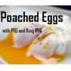 Poached Eggs artwork
