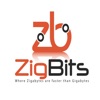 Zigbits Network Design Podcast artwork