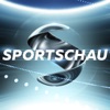 Sportschau in 100 Sekunden artwork