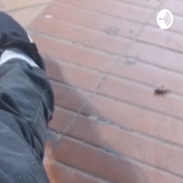 Batalhas Em Áudio