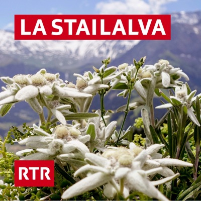 La stailalva La stailalva