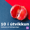 10 í útvíkkun - Podcaststöðin