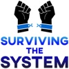 Surviving The System artwork