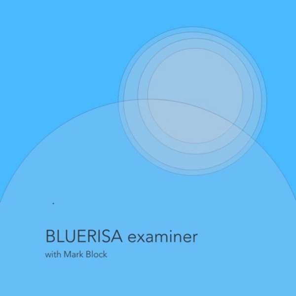 BLUERISA Examiner Artwork