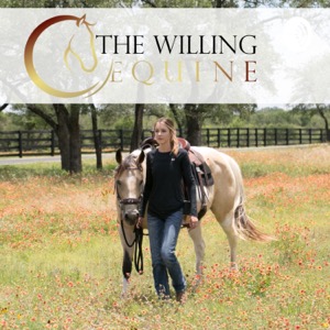 The Willing Equine