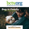 Dog is Family by BCTV.org artwork