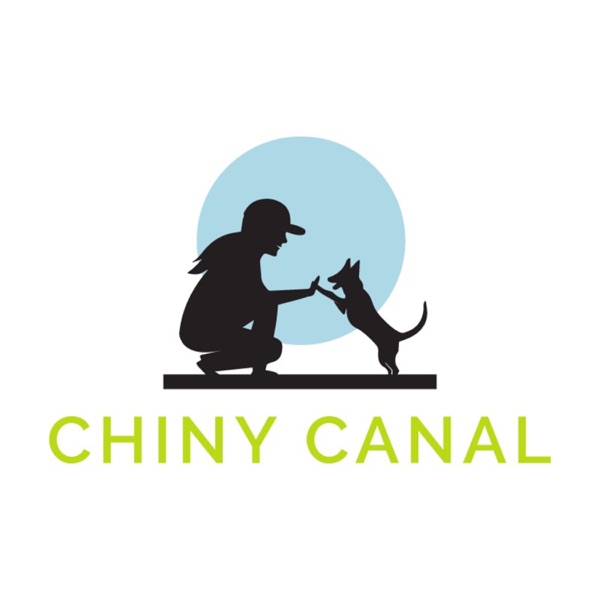 Chiny Canal