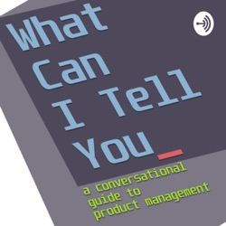 What Can I Tell You - a conversational guide to product management