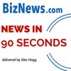 Biznews: News in 90 Seconds artwork