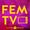 Fem TV artwork