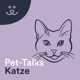 Pet-Talks: Katze – der Ratgeber-Podcast von DeineTierwelt