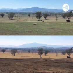 Kirby ‘Farm’ Nankervis-Colac Colac