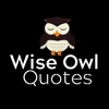 Wise Owl Quotes artwork