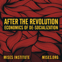 After the Revolution: Economics of De-Socialization podcast