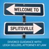 Welcome to Splitsville | Navigating Divorce in a Modern World artwork