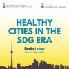 Healthy Cities in the SDG Era  artwork