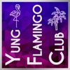 Yung Flamingo Club artwork