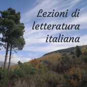 Lezioni di letteratura italiana - Carlo Raimondo