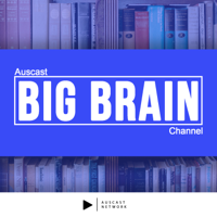 Blind Insights - Making Musicians Happy: the Rise of Artist Guitars (Special guest Ian Bush)